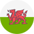 2026-09-25 [UEFA Nations League] 포르투갈 VS 웨일스 분석의 웨일스 엠블럼